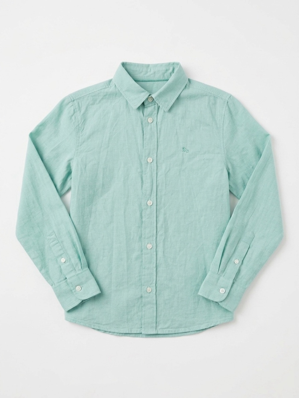 Boy’s Long-Sleeve Button-Down Shirt in Mint Green